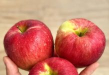 😰 Doctors reveal that eating APPLES causes sa…. See more👇👇 😰 Doctors reveal that eating APPLES causes sa…. See more👇👇 - featured image