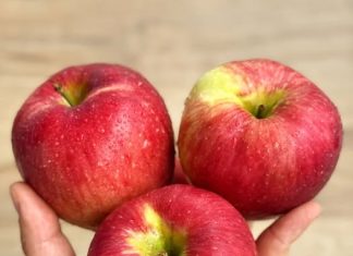 😰 Doctors reveal that eating APPLES causes sa…. See more👇👇 😰 Doctors reveal that eating APPLES causes sa…. See more👇👇 - featured image