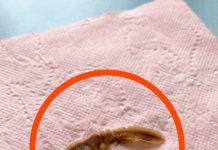 I Found This in My Girlfriend’s Bathroom and Couldn’t Figure Out What It Was I Found This in My Girlfriend’s Bathroom and Couldn’t Figure Out What It Was - featured image