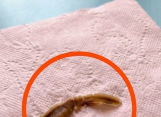 I Found This in My Girlfriend’s Bathroom and Couldn’t Figure Out What It Was I Found This in My Girlfriend’s Bathroom and Couldn’t Figure Out What It Was - featured image