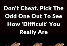 What Your Choice in This Image Might Say About Your Personality What Your Choice in This Image Might Say About Your Personality - featured image