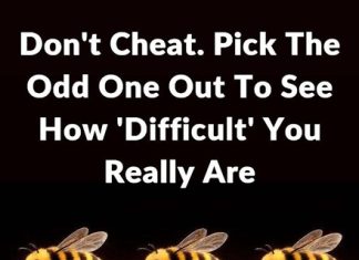 What Your Choice in This Image Might Say About Your Personality What Your Choice in This Image Might Say About Your Personality - featured image