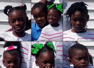 Online Buzz Grows Around Shamar Elkins After Recent Posts and Messages Surface — Photos Online Buzz Grows Around Shamar Elkins After Recent Posts and Messages Surface — Photos - featured image