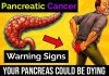 Warning Signs of Pancreatic Cancer You Should Never Ignore Warning Signs of Pancreatic Cancer You Should Never Ignore - featured image