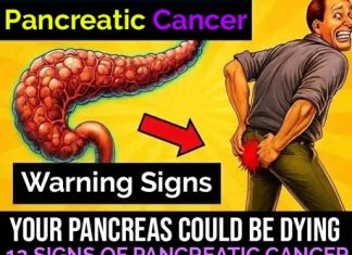 Warning Signs of Pancreatic Cancer You Should Never Ignore Warning Signs of Pancreatic Cancer You Should Never Ignore - featured image