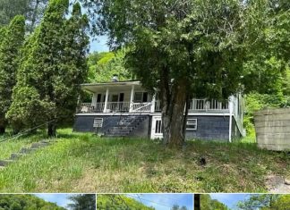 2-Bedroom Cottage on 35.64 Acres in Duffield, Virginia 2-Bedroom Cottage on 35.64 Acres in Duffield, Virginia - featured image