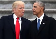 Public Reaction Grows After Discussion Involving Donald Trump and Barack Obama Public Reaction Grows After Discussion Involving Donald Trump and Barack Obama - featured image