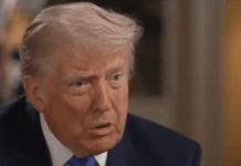 Trump calls reporter a ‘disgrace’ over what she reads out during interview about dinner shooting Trump calls reporter a 'disgrace' over what she reads out during interview about dinner shooting - featured image