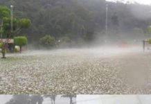 Powerful Storm Brings Large Hail, Residents Assess Aftermath Powerful Storm Brings Large Hail, Residents Assess Aftermath - featured image
