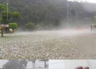 Powerful Storm Brings Large Hail, Residents Assess Aftermath Powerful Storm Brings Large Hail, Residents Assess Aftermath - featured image
