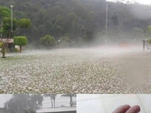 Powerful Storm Brings Large Hail, Residents Assess Aftermath Powerful Storm Brings Large Hail, Residents Assess Aftermath - featured image