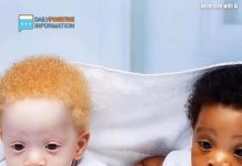 “Mom of Black and White Twins Often Gets Asked Which Child Is Hers” “Mom of Black and White Twins Often Gets Asked Which Child Is Hers” - featured image