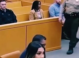 News US 247 News US 247 - featured image