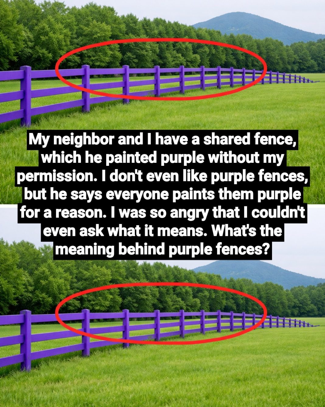 What a Purple Fence Means: The “No Trespassing” Signal Explained - featured image
