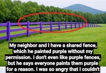 What a Purple Fence Means: The “No Trespassing” Signal Explained What a Purple Fence Means: The “No Trespassing” Signal Explained - featured image