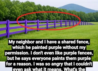 What a Purple Fence Means: The “No Trespassing” Signal Explained What a Purple Fence Means: The “No Trespassing” Signal Explained - featured image