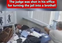 Kentucky Judge Killed in Office as Allegations of Corruption and Abuse Emerge Kentucky Judge Killed in Office as Allegations of Corruption and Abuse Emerge - featured image