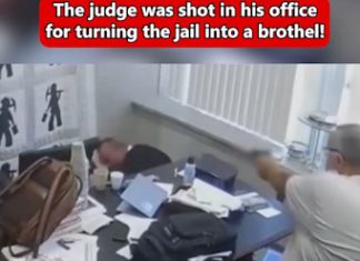 Kentucky Judge Killed in Office as Allegations of Corruption and Abuse Emerge Kentucky Judge Killed in Office as Allegations of Corruption and Abuse Emerge - featured image