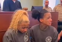 Case of twin sisters News US 247 - featured image