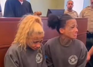 Case of twin sisters News US 247 - featured image