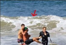 LEGEND LOST Iconic actor has died today after being mauled to death in shark…See more LEGEND LOST Iconic actor has died today after being mauled to death in shark…See more - featured image