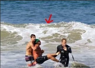 LEGEND LOST Iconic actor has died today after being mauled to death in shark…See more LEGEND LOST Iconic actor has died today after being mauled to death in shark…See more - featured image