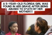 Shocking courtroom case News US 247 - featured image