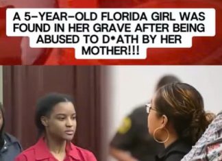 Shocking courtroom case News US 247 - featured image