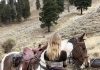 A Couple’s Story That Took an Unexpected Turn After One Photo A Couple’s Story That Took an Unexpected Turn After One Photo - featured image