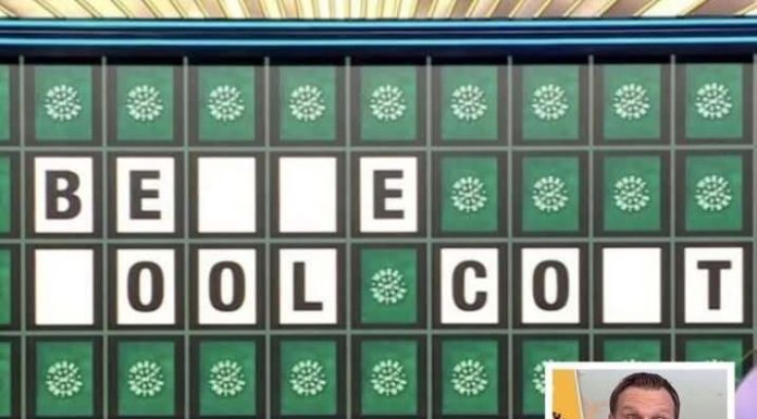 ‘Wheel of Fortune’ Player Misses Out After Failing To Solve This Easy Puzzle⬇️ ‘Wheel of Fortune’ Player Misses Out After Failing To Solve This Easy Puzzle⬇️ - featured image