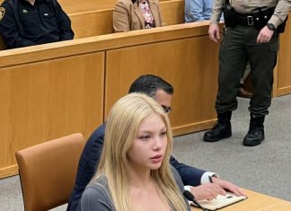 Legal case of substitute teacher News US 247 - featured image
