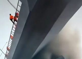 EVACUATION TEAM Escapes Collapsing Highway EVACUATION TEAM Escapes Collapsing Highway - featured image