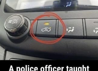 What the Air Recirculation Button Means fo What the Air Recirculation Button Means fo - Truepres - featured image
