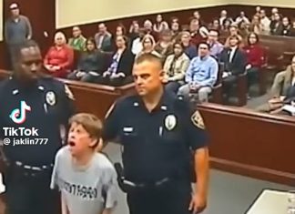 Childs plea News US 247 - featured image