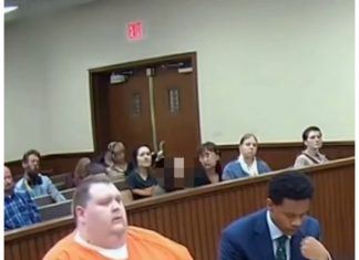 😢 Overweight Man Given Community Garden Sentence — Struggles With the Reality 😢 Overweight Man Given Community Garden Sentence — Struggles With the Reality - featured image