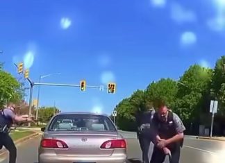 Nashville woman, 31, shot Nashville woman, 31, shot - featured image