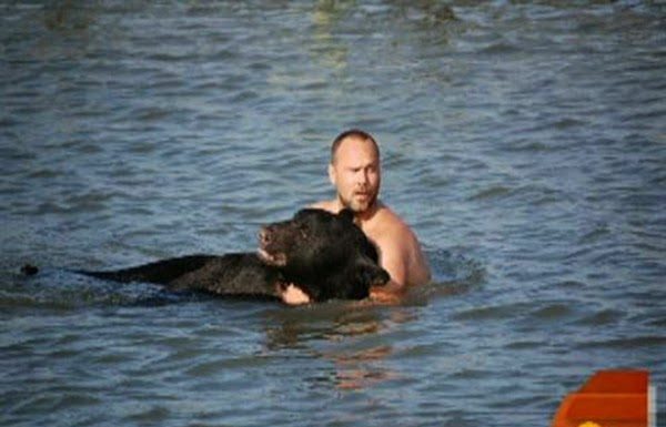 Off The RecordA 400 Pound Black Bear Was Drowning In The Ocean, But One Man Refused To Let That Happen Off The RecordA 400 Pound Black Bear Was Drowning In The Ocean, But One Man Refused To Let That Happen - featured image