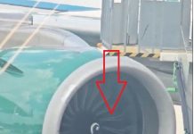 💔😱 HORROR ON THE TARMAC: A Frontier plane’s engine shredded…See more 💔😱 HORROR ON THE TARMAC: A Frontier plane’s engine shredded…See more - featured image