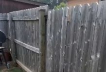 The Hidden Truth Behind The Broken Wooden Fence The Hidden Truth Behind The Broken Wooden Fence - featured image