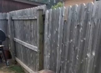 The Hidden Truth Behind The Broken Wooden Fence The Hidden Truth Behind The Broken Wooden Fence - featured image