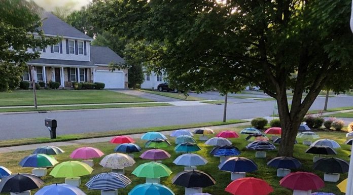 After My Son Shared His Umbrella, Our Family Received a Mysterious Gift After My Son Shared His Umbrella, Our Family Received a Mysterious Gift - featured image