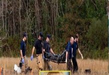 Missing girl found in the woods, her mother was the one who… Missing girl found in the woods, her mother was the one who… - featured image