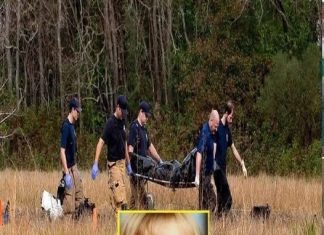 Missing girl found in the woods, her mother was the one who… Missing girl found in the woods, her mother was the one who… - featured image