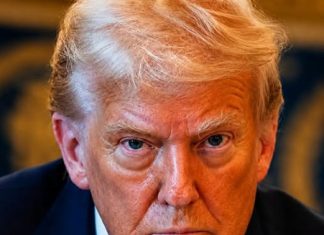 Donald Trump has not been seen recently, sparking online speculation Donald Trump has not been seen recently, sparking online speculation - featured image