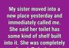 The Unusual Toilet Design That Often Surprises Travelers—And Why It Was Created That Way The Unusual Toilet Design That Often Surprises Travelers—And Why It Was Created That Way - featured image