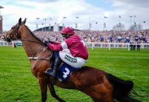 TRAGEDY AT AINTREE AS JOCKEY WHIPS DYING HORSE ACROSS FINISH LINE IN SHOCKING FINAL SECONDS OF LIVERPOOL RACE THAT LEFT VIEWERS IN TEARS TRAGEDY AT AINTREE AS JOCKEY WHIPS DYING HORSE ACROSS FINISH LINE IN SHOCKING FINAL SECONDS OF LIVERPOOL RACE THAT LEFT VIEWERS IN TEARS - featured image