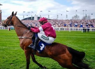 TRAGEDY AT AINTREE AS JOCKEY WHIPS DYING HORSE ACROSS FINISH LINE IN SHOCKING FINAL SECONDS OF LIVERPOOL RACE THAT LEFT VIEWERS IN TEARS TRAGEDY AT AINTREE AS JOCKEY WHIPS DYING HORSE ACROSS FINISH LINE IN SHOCKING FINAL SECONDS OF LIVERPOOL RACE THAT LEFT VIEWERS IN TEARS - featured image