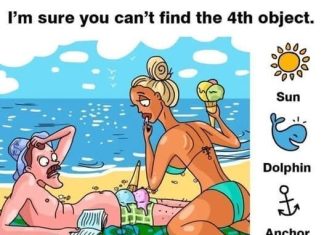 Find Sun, Dolphin, Anchor, Snail. Find Sun, Dolphin, Anchor, Snail. - featured image