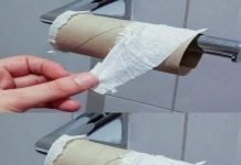 Why More People Are Exploring Eco-Friendly Alternatives to Traditional Toilet Paper Why More People Are Exploring Eco-Friendly Alternatives to Traditional Toilet Paper - featured image