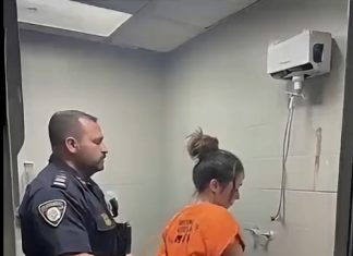 The Policeman Was Taken Away… and Forgot the Camera Was Still Rolling The Policeman Was Taken Away… and Forgot the Camera Was Still Rolling - featured image